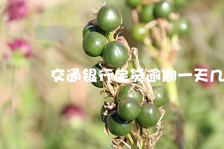 交通银行房贷逾期一天几点扣款 交通银行房贷逾期一天几点扣款