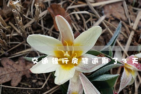 交通银行房贷逾期了3天 交通银行房贷逾期了3天