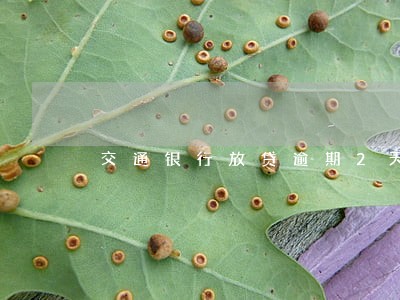 交通银行放贷逾期2天 交通银行放贷逾期2天
