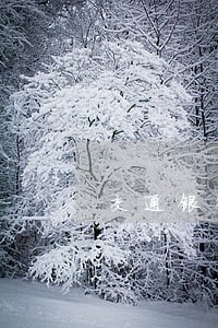 交通银行新信用卡逾期 交通银行新信用卡逾期
