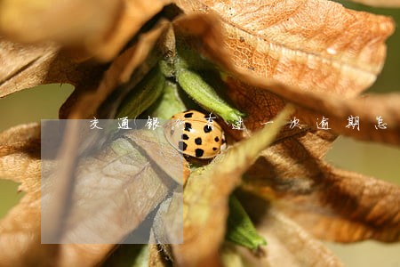交通银行有过一次逾期怎么办