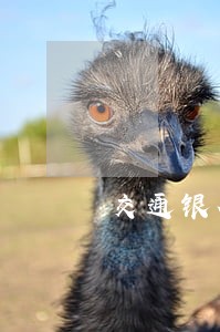 交通银行有逾期记录可以消除吗 交通银行有逾期记录可以消除吗