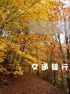 交通银行查询没有逾期 交通银行查询没有逾期