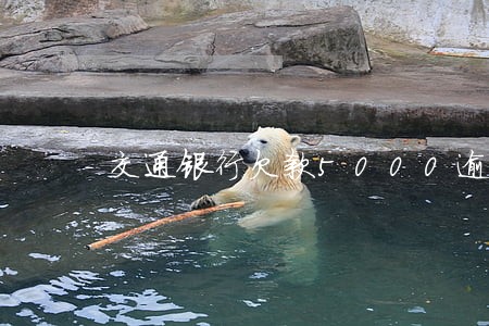 交通银行欠款5000逾期半年 交通银行欠款5000逾期半年