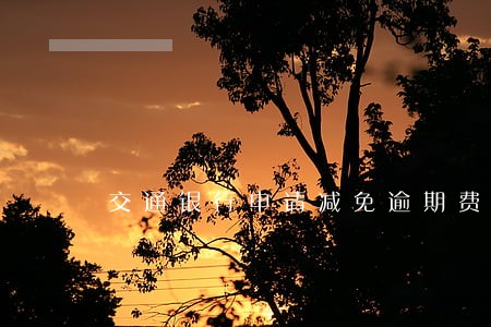 交通银行申请减免逾期费用申请书 交通银行申请减免逾期费用申请书