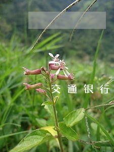 交通银行的信用付逾期