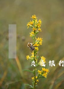 交通银行能只还本金吗 交通银行能只还本金吗