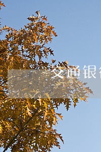 交通银行行用卡如何算逾期 交通银行行用卡如何算逾期