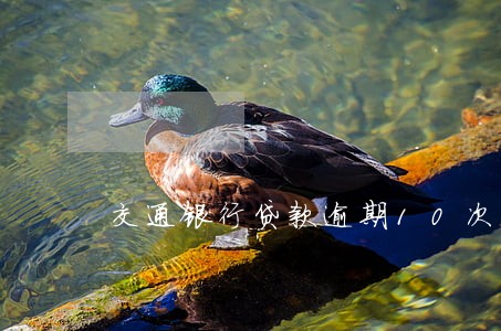 交通银行贷款逾期10次 交通银行贷款逾期10次