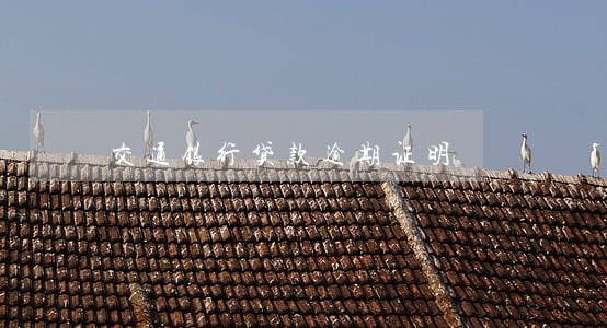 交通银行贷款逾期证明 交通银行贷款逾期证明