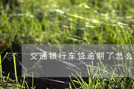 交通银行车贷逾期了怎么办 交通银行车贷逾期了怎么办