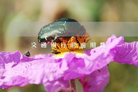 交通银行退逾期费 交通银行退逾期费