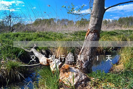 交通银行逾期11天 交通银行逾期11天