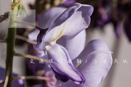 交通银行逾期150天以上 交通银行逾期150天以上