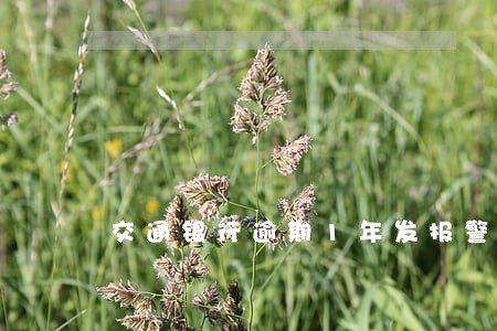 交通银行逾期1年发报警函 交通银行逾期1年发报警函