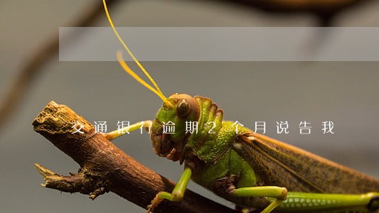 交通银行逾期2个月说告我 交通银行逾期2个月说告我