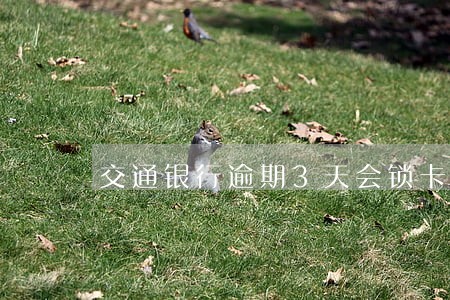 交通银行逾期3天会锁卡么 交通银行逾期3天会锁卡么