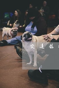 交通银行逾期4000三个月 交通银行逾期4000三个月