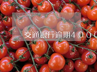 交通银行逾期4000可以分期 交通银行逾期4000可以分期