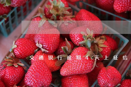 交通银行逾期4天上征信吗 交通银行逾期4天上征信吗