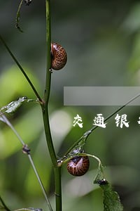 交通银行逾期4次能不能解冻 交通银行逾期4次能不能解冻