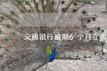 交通银行逾期6个月立案 交通银行逾期6个月立案