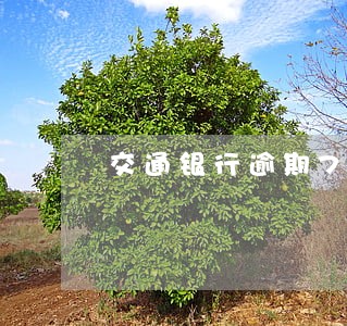 交通银行逾期70天 交通银行逾期70天