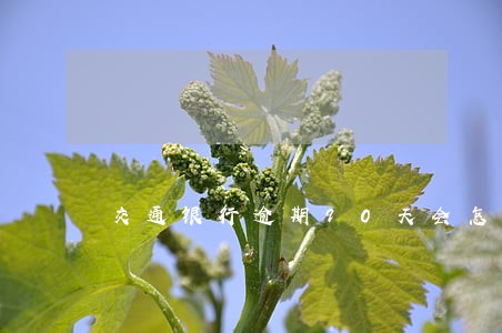 交通银行逾期90天会怎么办