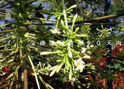 交通银行逾期90天内信用卡打