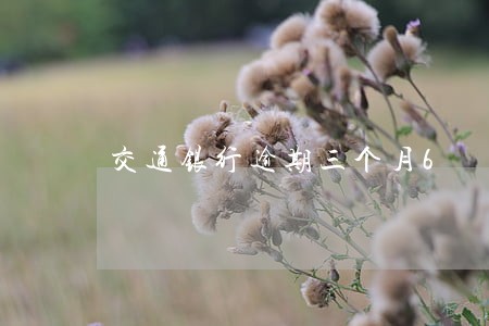 交通银行逾期三个月6 交通银行逾期三个月6