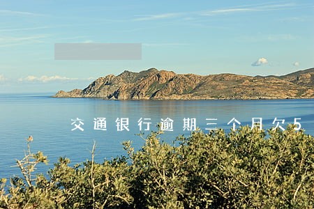 交通银行逾期三个月欠5000 交通银行逾期三个月欠5000