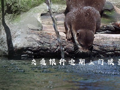 交通银行逾期上门核查