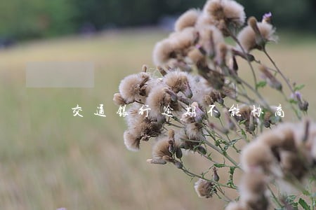 交通银行逾期不能协商 交通银行逾期不能协商
