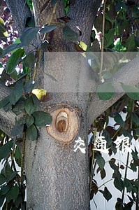 交通银行逾期两万五 交通银行逾期两万五