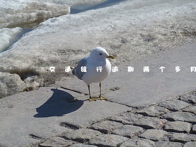 交通银行逾期两个多月 交通银行逾期两个多月