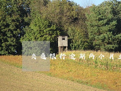 交通银行逾期两个月立案 交通银行逾期两个月立案