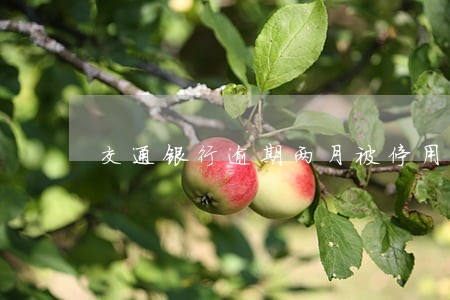 交通银行逾期两月被停用