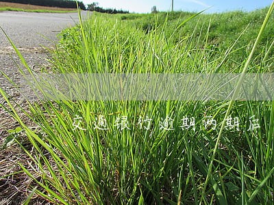 交通银行逾期两期后