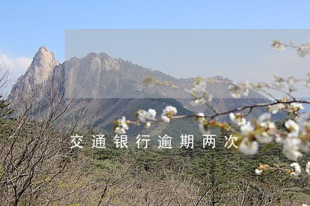 交通银行逾期两次