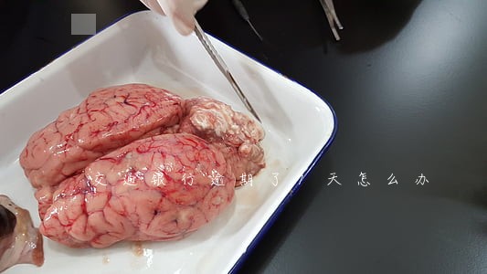 交通银行逾期了7天怎么办 交通银行逾期了7天怎么办