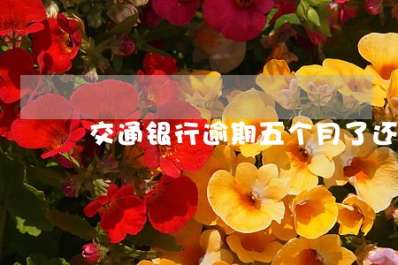 交通银行逾期五个月了还能用吗 交通银行逾期五个月了还能用吗