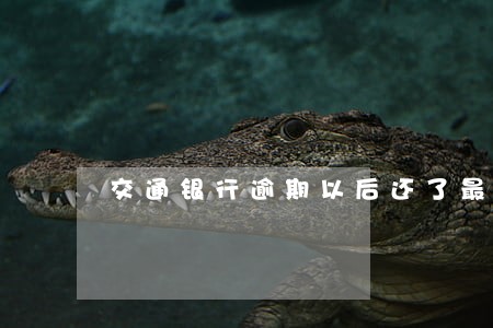 交通银行逾期以后还了最低 交通银行逾期以后还了最低