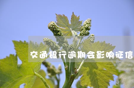 交通银行逾期会影响征信吗 交通银行逾期会影响征信吗