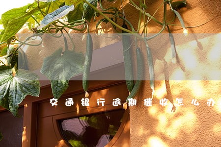 交通银行逾期催收怎么办 交通银行逾期催收怎么办