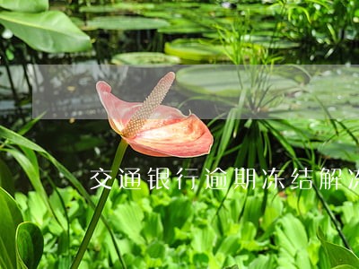交通银行逾期冻结解冻不了 交通银行逾期冻结解冻不了