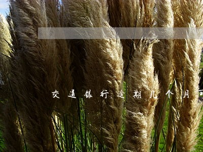 交通银行逾期几个月可以上门 交通银行逾期几个月可以上门
