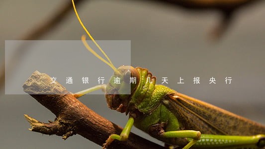 交通银行逾期几天上报央行 交通银行逾期几天上报央行