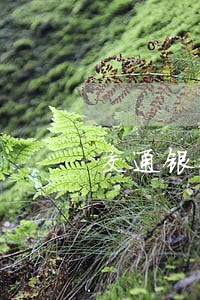 交通银行逾期几次会上征信啊 交通银行逾期几次会上征信啊