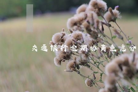 交通银行逾期协商免息分期 交通银行逾期协商免息分期