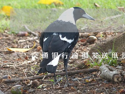交通银行逾期发送纸质通知函 交通银行逾期发送纸质通知函